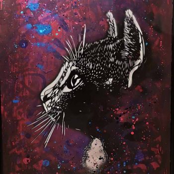 C215-artiste-street-art-chat-peinture