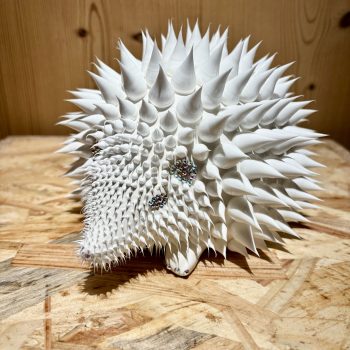 Maniez-artiste-silicone