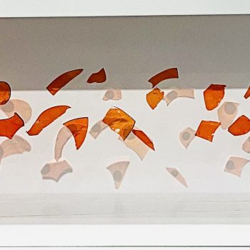 maniouloux-impact-insect-art