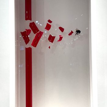 maniouloux-impact-insect-art