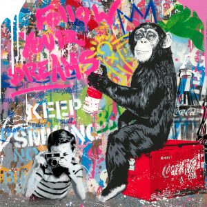 Technique mixte, Mr Brainwash