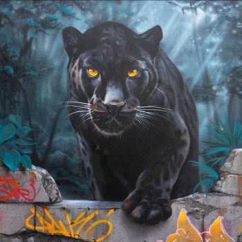 dave baranes peinture
