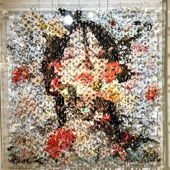 Lis-sam-papillons - Blossom