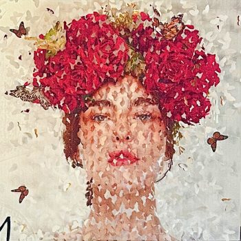 Lis-sam-papillons-camelia